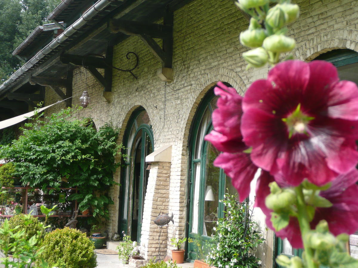 Manoir De Bois En Ardres Bagian luar foto
